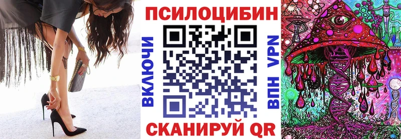darknet телеграм  Ачхой-Мартан  Галлюциногенные грибы прущие грибы  хочу  